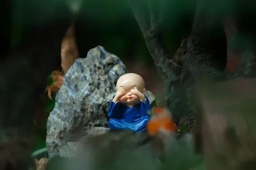 难得糊涂的经典句子文案