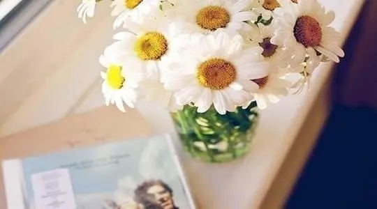 小清新正能量的句子文案