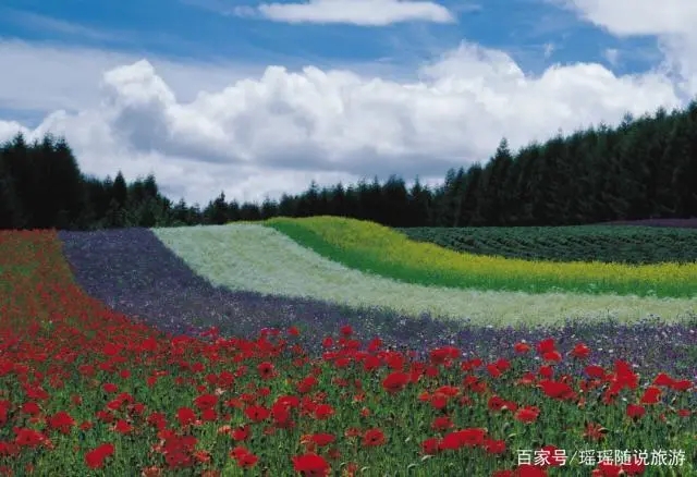 描写春夏秋冬的优美句子文案