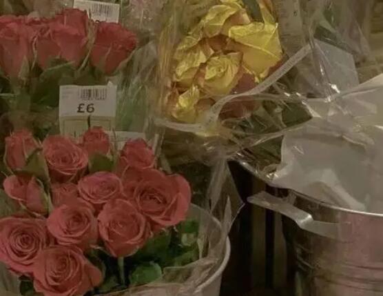 适合花草的文案