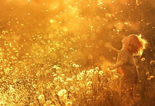 简单幸福祝福语言句子文案