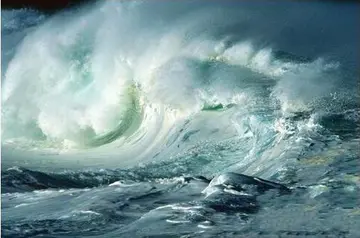 感叹自然灾害的句子文案