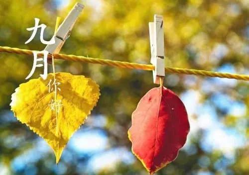 有关九月的优美句子文案