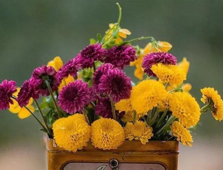 关于朴实无华的名言