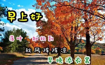 秋季问候语及关心话