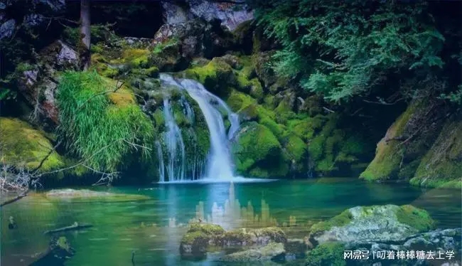 简短精辟的日常问候语