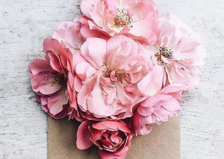 我喜欢你经典语录文案趣味