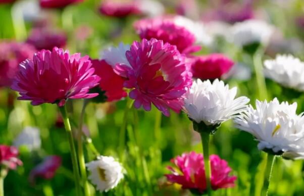 女人受伤的话语