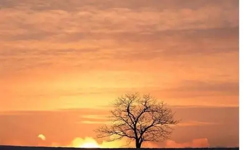 描写秋天的句子文案8个字