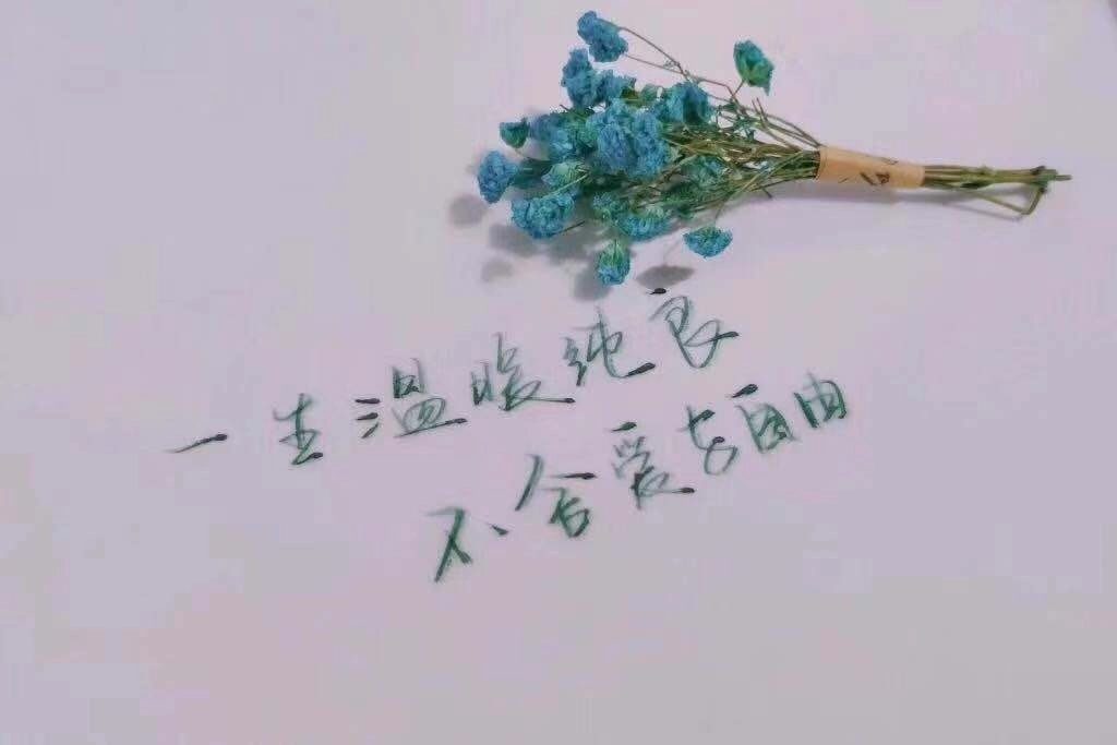 无声的心情说说文案