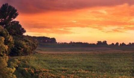 生活太多不如意语录文案