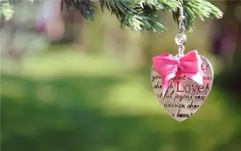 浪漫的表达爱意的诗句文案