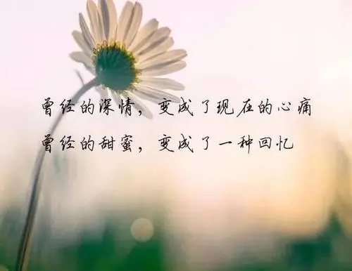 简短心情好的句子文案