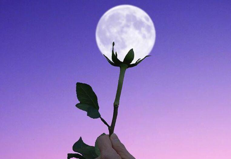 青春拼搏的霸气短句