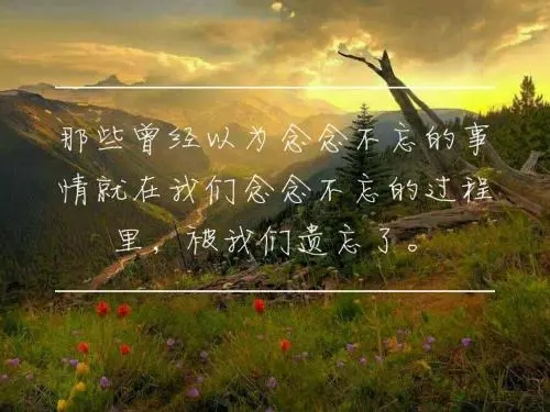 女人情感励志语录文案经典短句