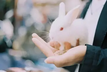 朋友圈美言美句正能量