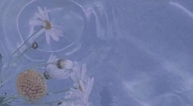 寺山修司句子文案迷