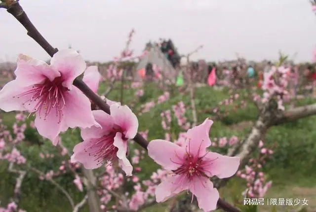 五一思念祝福的短信