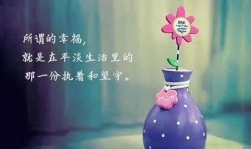 2024年最新情感语录文案