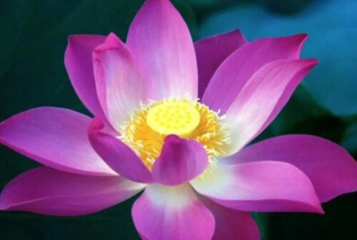 病痛煎熬的心情句子文案