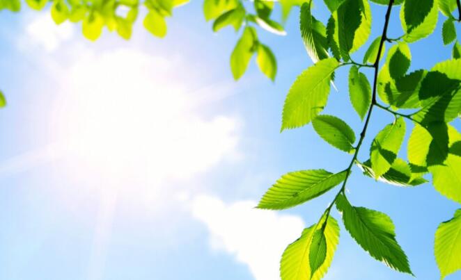 搜索早上好问候语