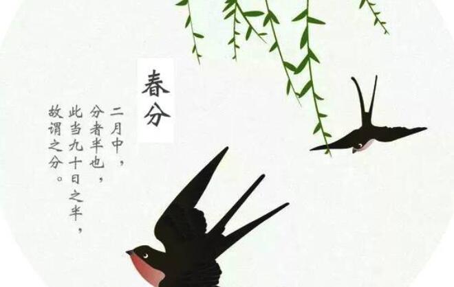 春分节气文案