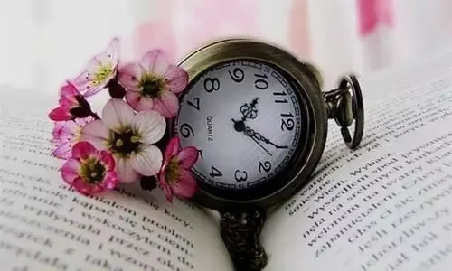 英语打卡发朋友圈句子文案