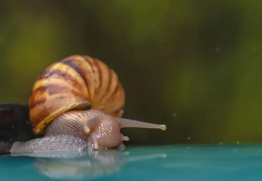 优美句子文案摘抄大全初中