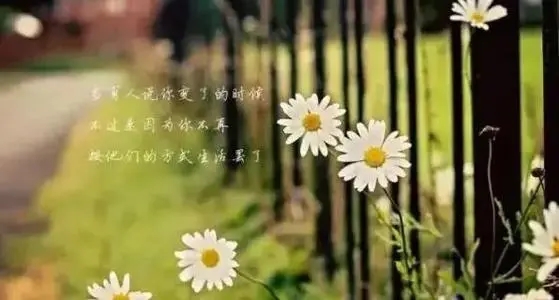 希望一切好运的说说文案