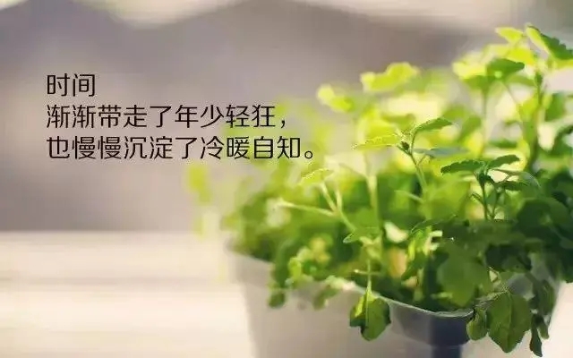 经典语录文案伤感人生感悟