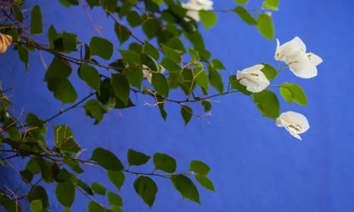 一句简短的风景句子文案