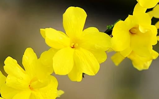 2021年简短贴心早安短句