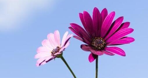 形容对一样东西着迷的句子文案