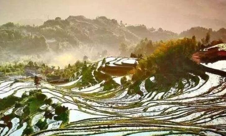 二十四节气寒露古诗词