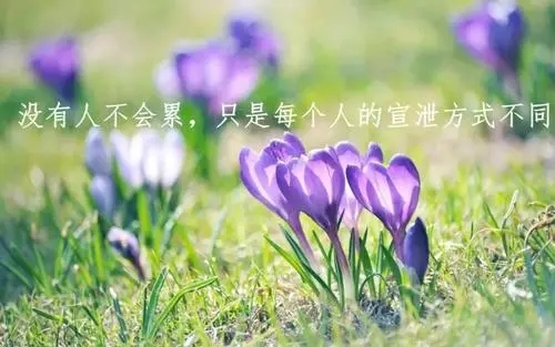 早安幽默句子文案说说心情短语