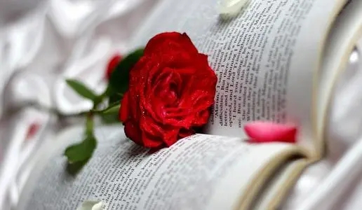 属于自己独特唯美的签名