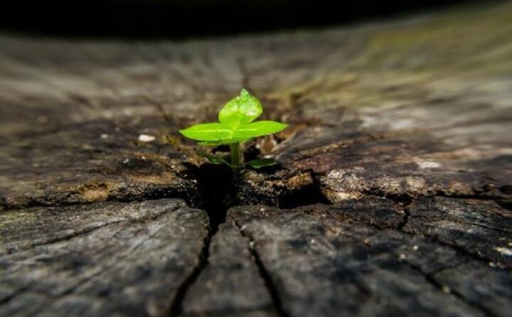 生活中的小细节句子文案