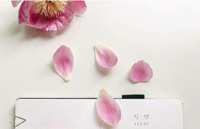 抖音励志句子文案致自己女人