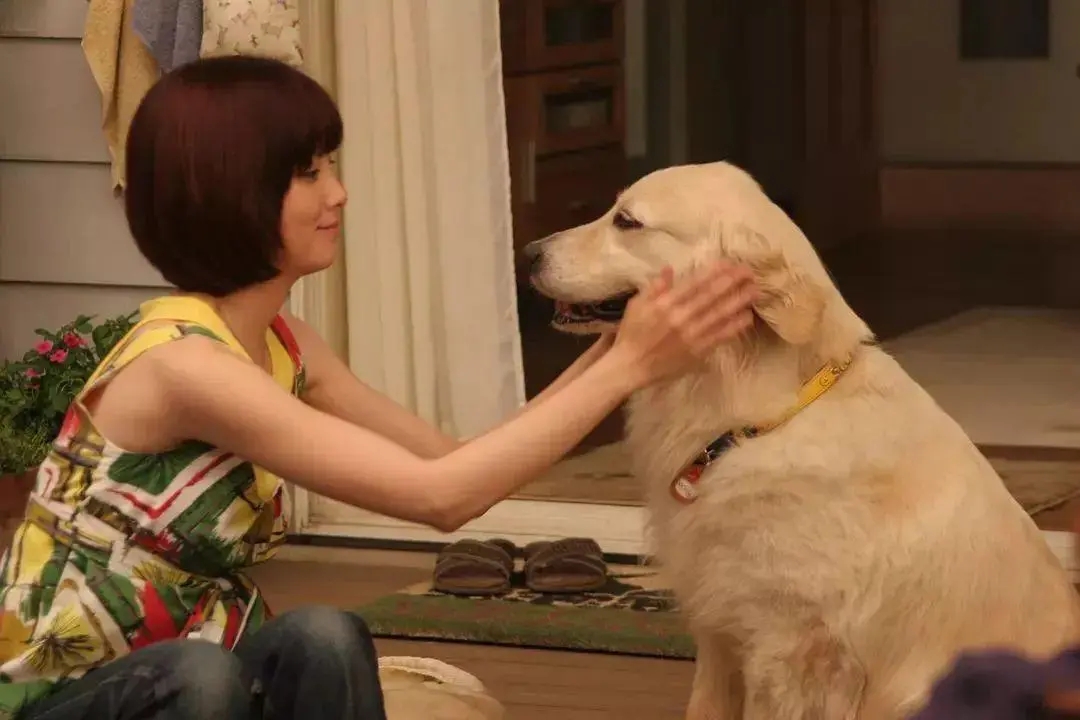 失去爱犬心碎的句子文案