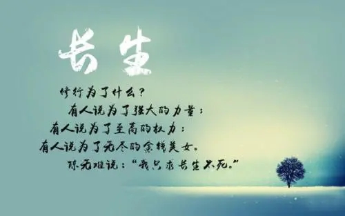 女人经典名言名句文案大全