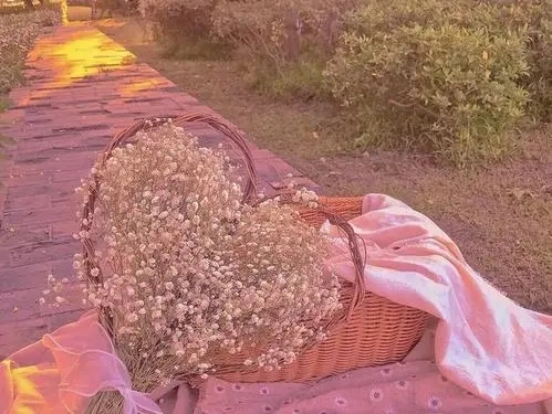 四字文案干净高雅