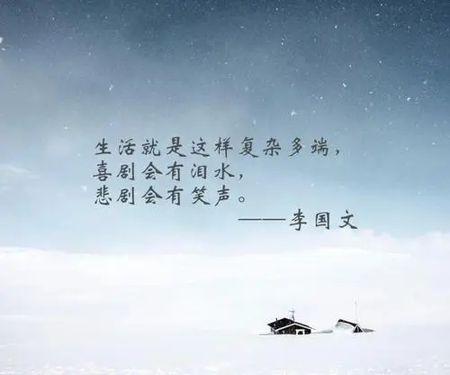 句子文案迷经典语录努力