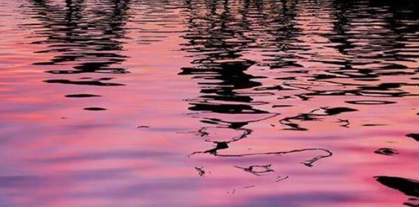 形容社会人心复杂的句子文案