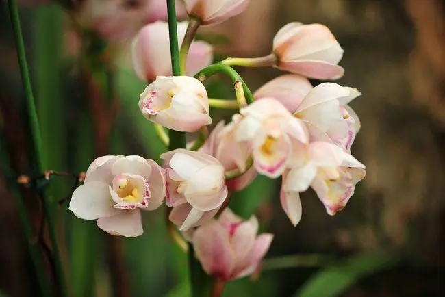 抖音里面很火的一段话