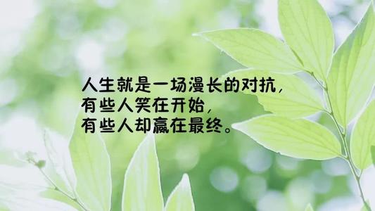 公益简短正能量语录文案