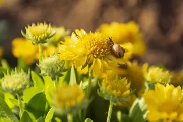 关于选择的开头优美句