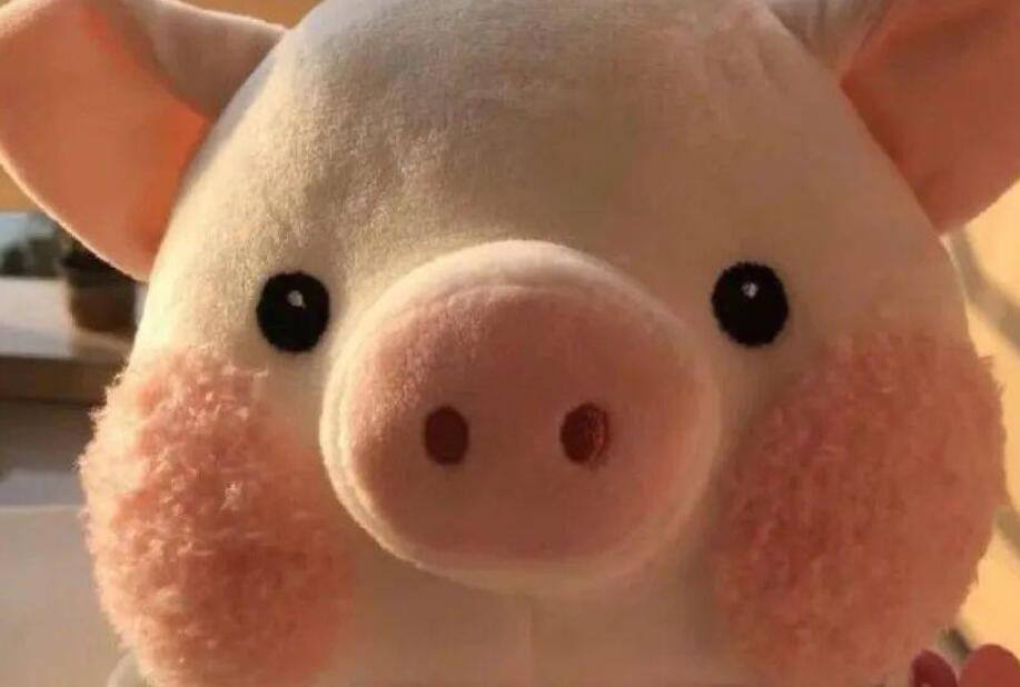 骂人的话不带脏字