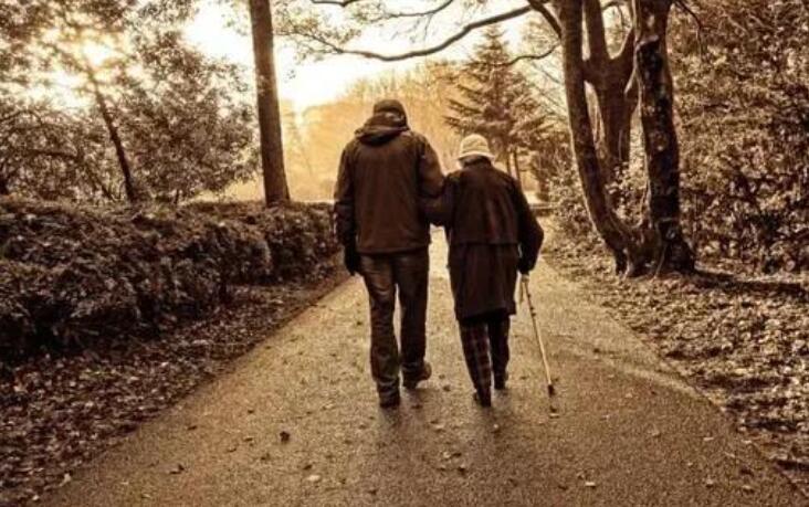 父母年迈的心情感悟