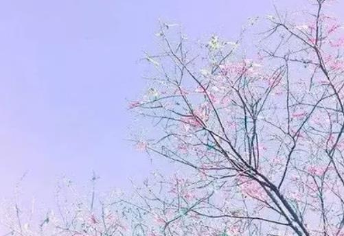 形容被忽视被冷落的句子文案