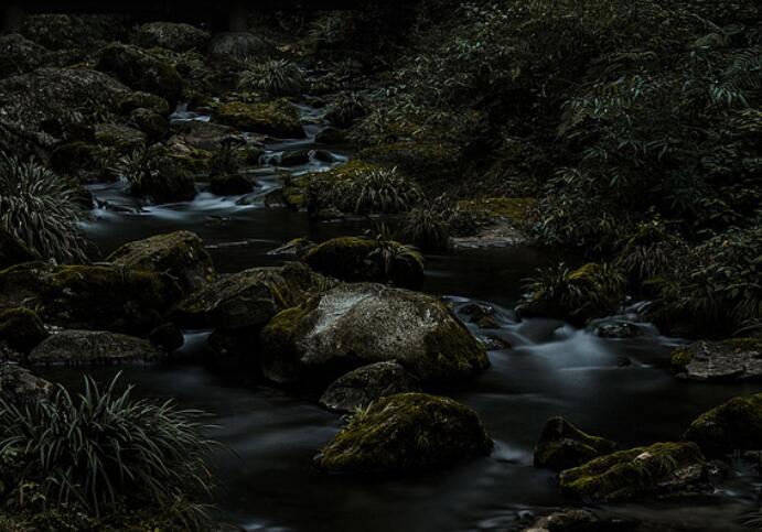 自强不息的名人名言